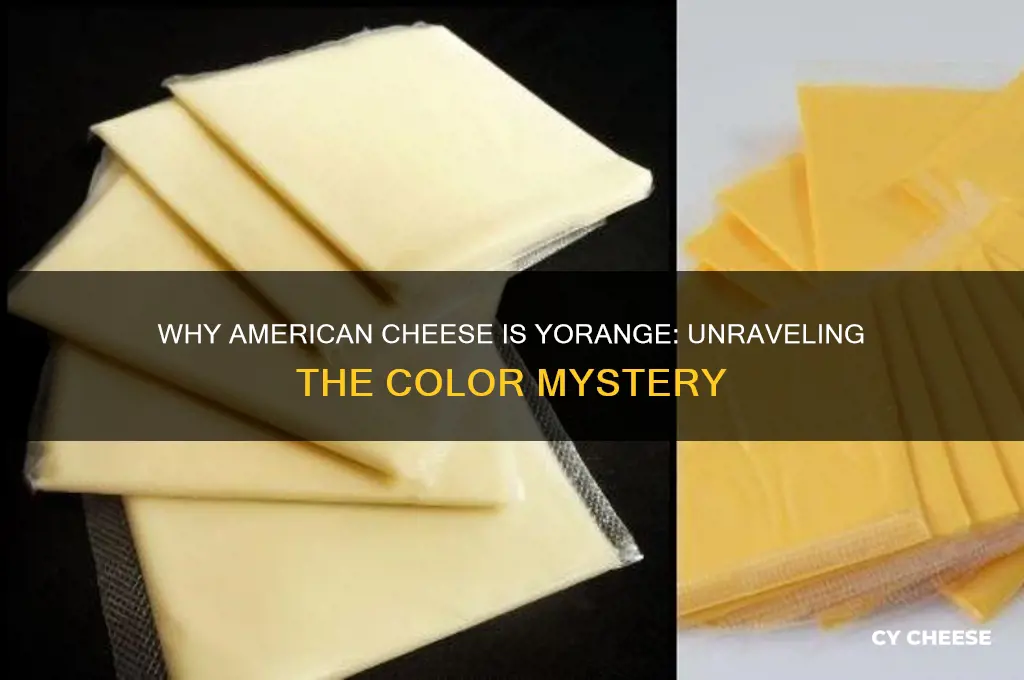 why is american cheese yorange