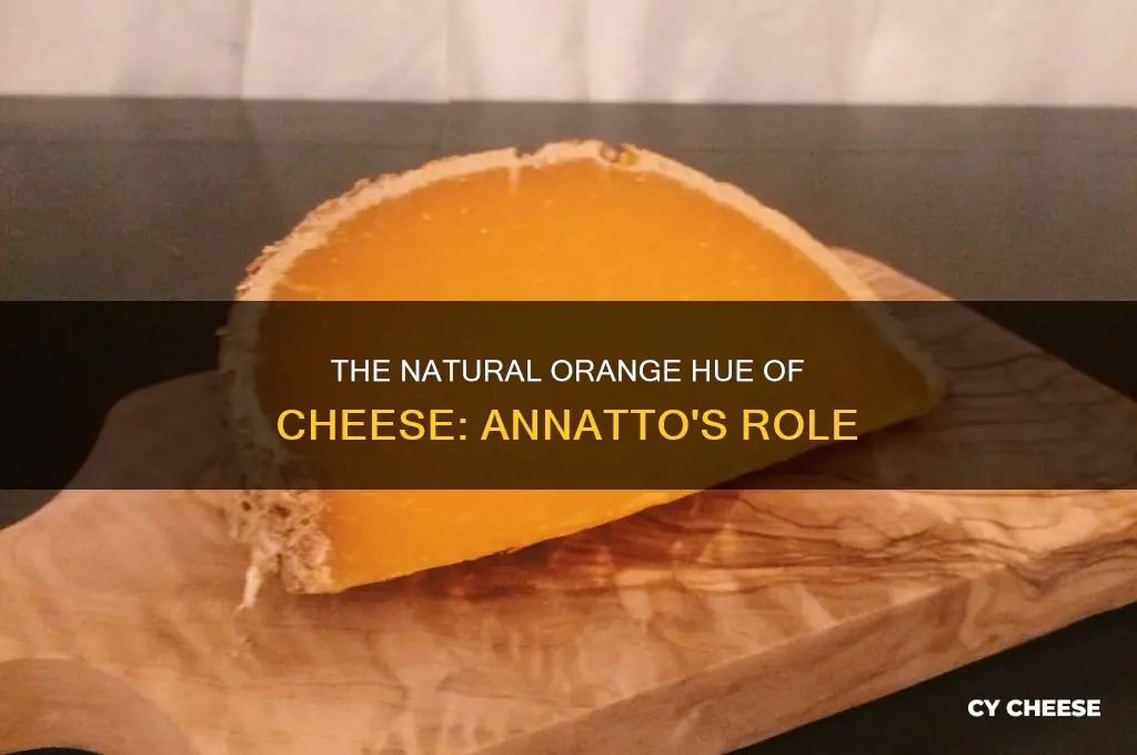 why is annatto used in cheese