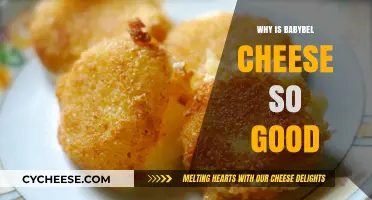 Why Babybel Cheese is Irresistibly Delicious: A Tasty Exploration