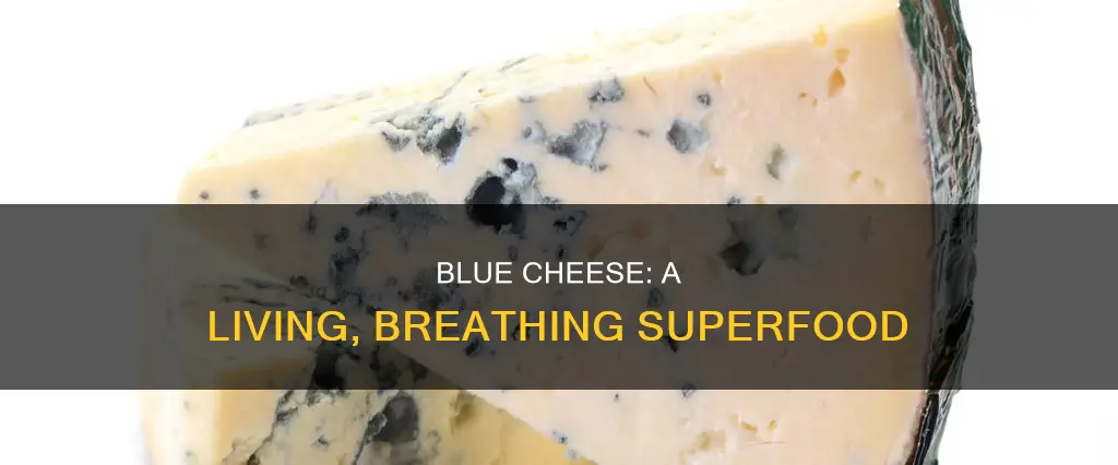 why is blue cheese a living thing