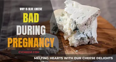 Pregnancy and Blue Cheese: What's the Danger?