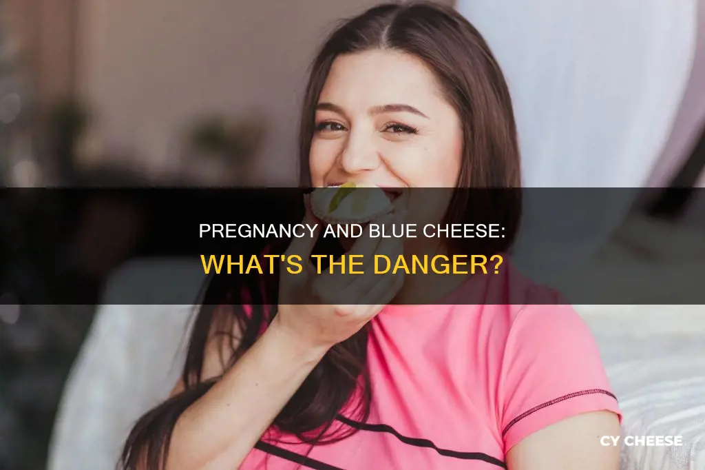 why is blue cheese bad during pregnancy