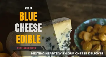 Blue Cheese Edibility: A Curious Culinary Conundrum