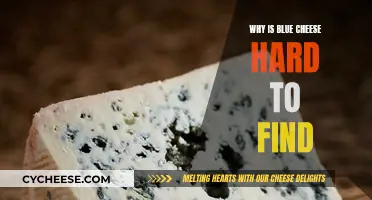 The Elusive Blue Cheese: Why is it Hard to Find?