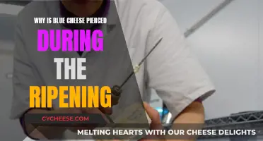 How Blue Cheese Piercing Enhances Ripening
