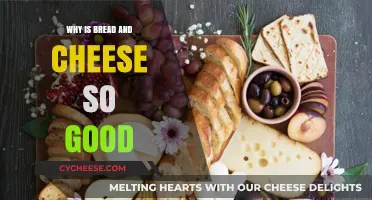 The Irresistible Magic of Bread and Cheese: A Perfect Pairing Explained