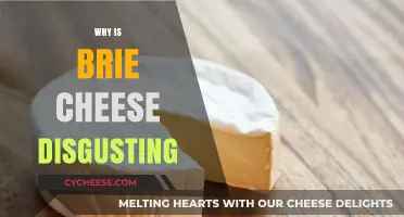 Why Brie Cheese is Disgusting: Uncovering the Unappealing Truth