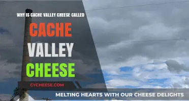 Why Cache Valley Cheese Bears Its Iconic Regional Name