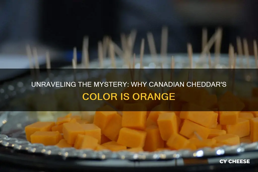 why is canadian cheddar cheese orange