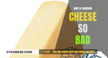 Canadian Cheese: Why Does it Taste So Bad?