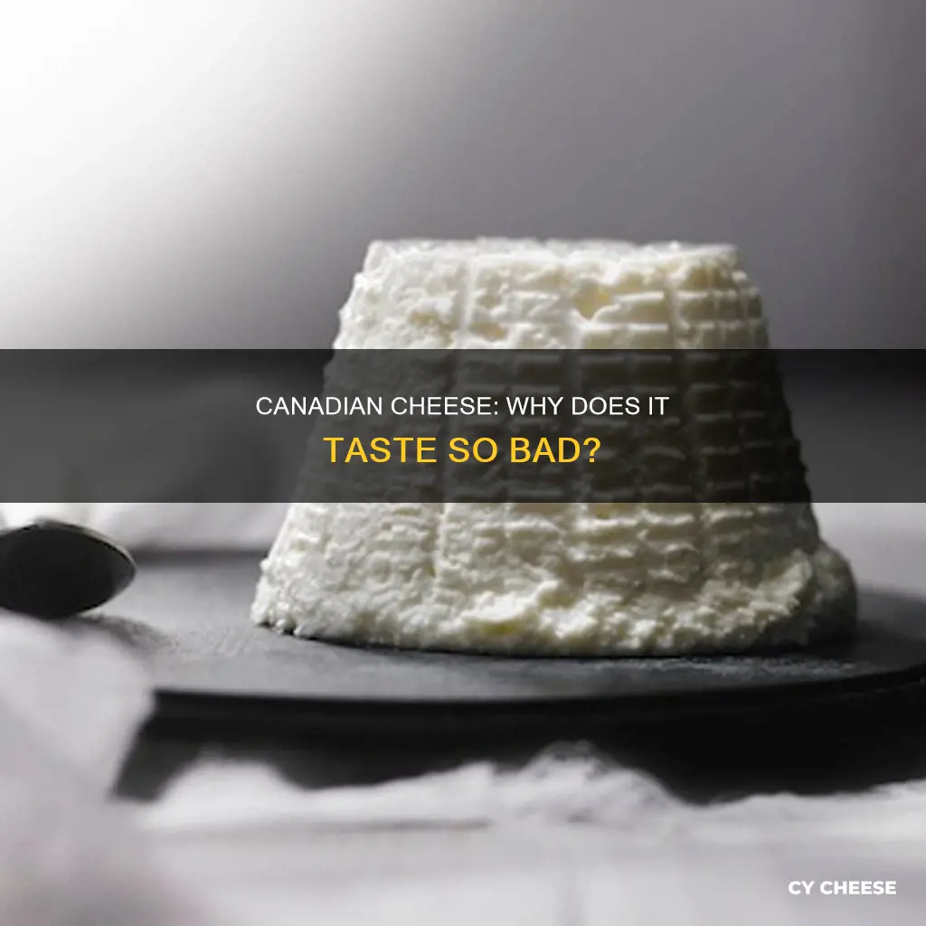 why is canadian cheese so bad