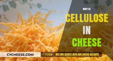 Why Cellulose is Added to Cheese: Unraveling the Mystery