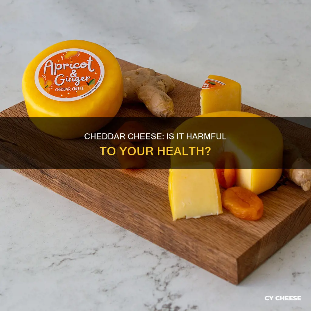 why is cheddar cheese bad for you