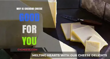Cheddar Cheese Benefits: Nutrition, Health, and Wellness Explained
