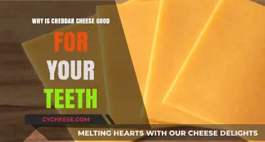 Cheddar Cheese: A Tasty Tooth-Friendly Snack for Oral Health