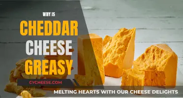 The Surprising Reason Cheddar Cheese Has a Greasy Texture