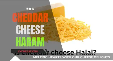 Exploring the Religious Rationale: Why Cheddar Cheese is Haram