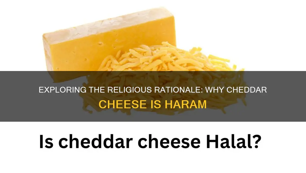 why is cheddar cheese haram