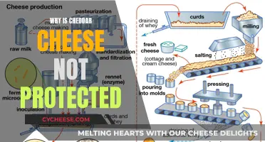 The Unprotected Cheddar: A Tale of Global Cheese