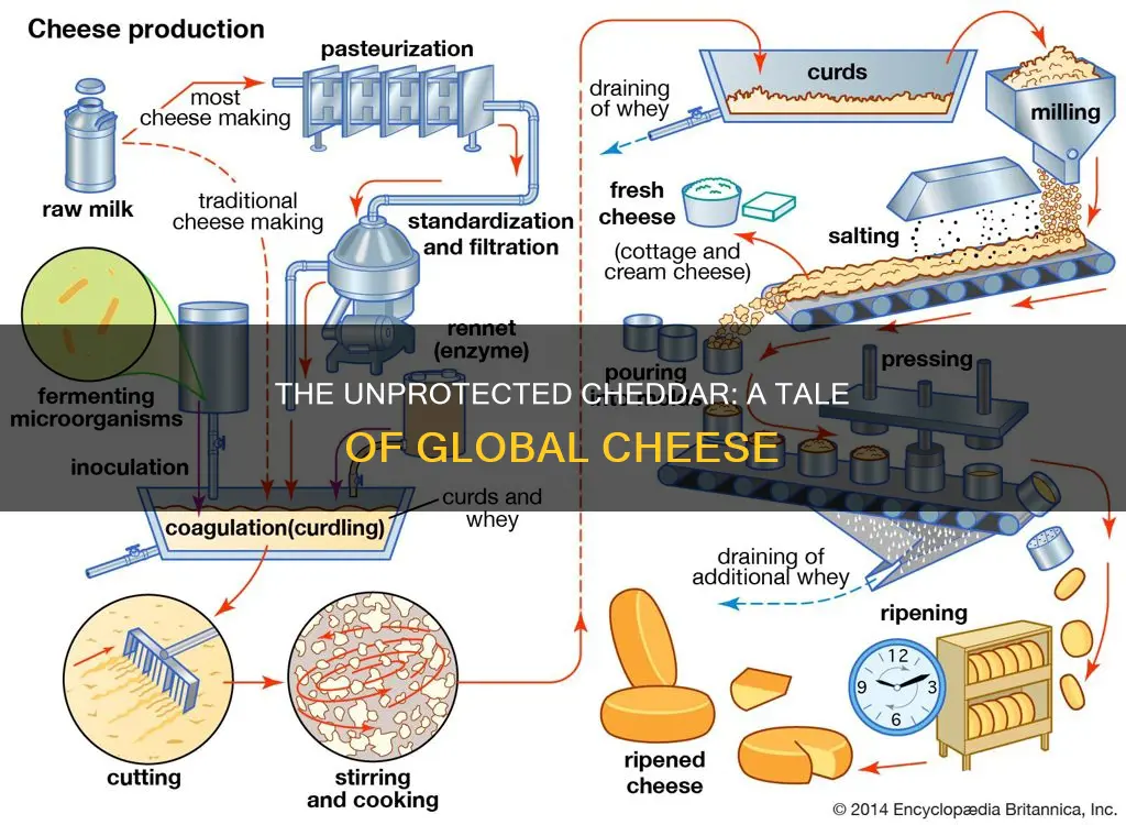 why is cheddar cheese not protected