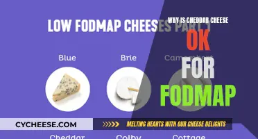 Cheddar Cheese: Unlocking the FODMAP Mystery