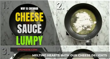 Cheddar Cheese Sauce: Why Lumpy?