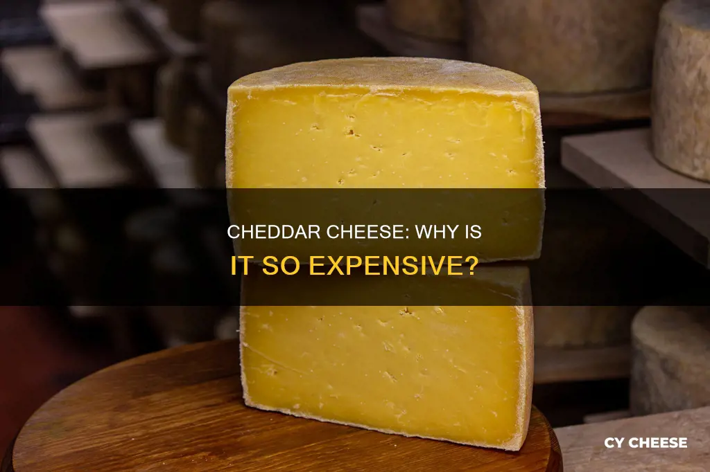why is cheddar cheese so expensive