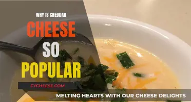 The Cheddar Craze: Unraveling the Global Love for a Classic Cheese