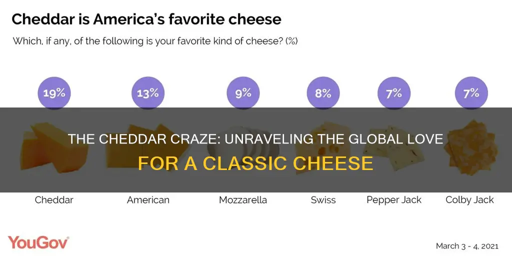 why is cheddar cheese so popular