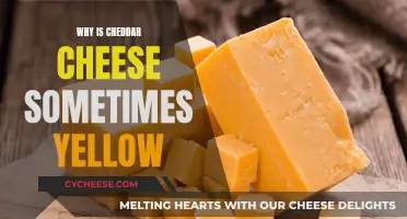 The Golden Hue of Cheddar: Unveiling the Secret Behind the Yellow Cheese