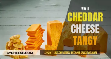 The Tangy Secret of Cheddar: Unraveling the Flavor Mystery