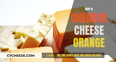 The Bright Side of Cheddar: Unveiling the Orange Mystery