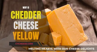 The Bright Side of Cheddar: Unveiling the Secret of Its Golden Hue