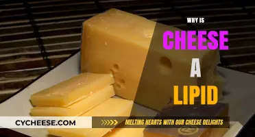 Why Cheese is a Lipid: Uncovering its Fatty Secrets