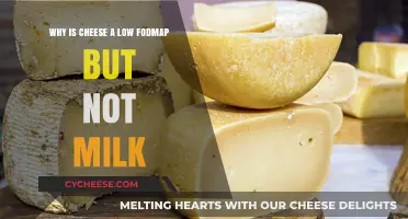 Cheese vs. Milk: Unraveling the Low FODMAP Mystery
