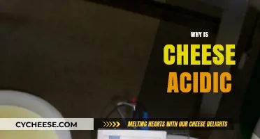 Why Cheese is Acidic: Uncovering the Tangy Science Behind Dairy