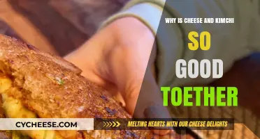 Cheese and Kimchi: The Perfect Fusion of Creamy and Spicy
