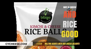 Cheese and Rice: A Perfect Pairing for Flavor and Nutrition