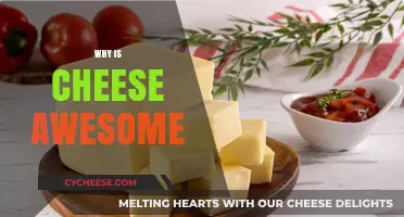 Cheese: The Irresistible, Versatile, and Delicious Food We Love