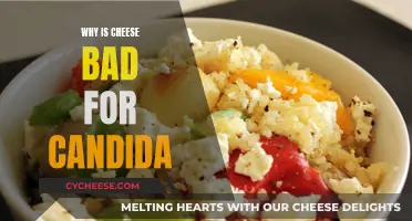 Cheese and Candida: A Bad Combination