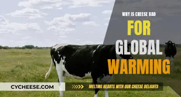 Cheese's Impact on Global Warming: A Climate Concern