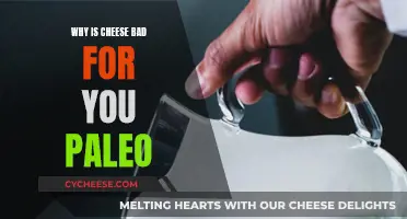 Cheese: Paleo's Unhealthy, But Delicious Dairy Conundrum