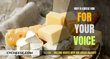 Cheese and Singing: How Dairy Affects Your Voice