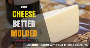 Why Molded Cheese Outshines Fresh: A Tasty Transformation Explained