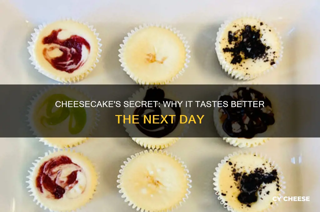 why is cheese cake better the next day