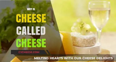 Why Is Cheese Called Cheese? Unraveling the Dairy Delight's Name