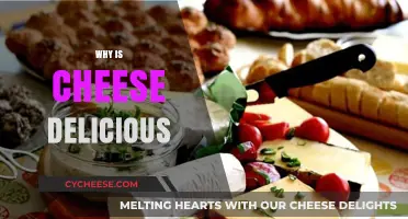 The Irresistible Charm: Unraveling Why Cheese Tastes So Delicious