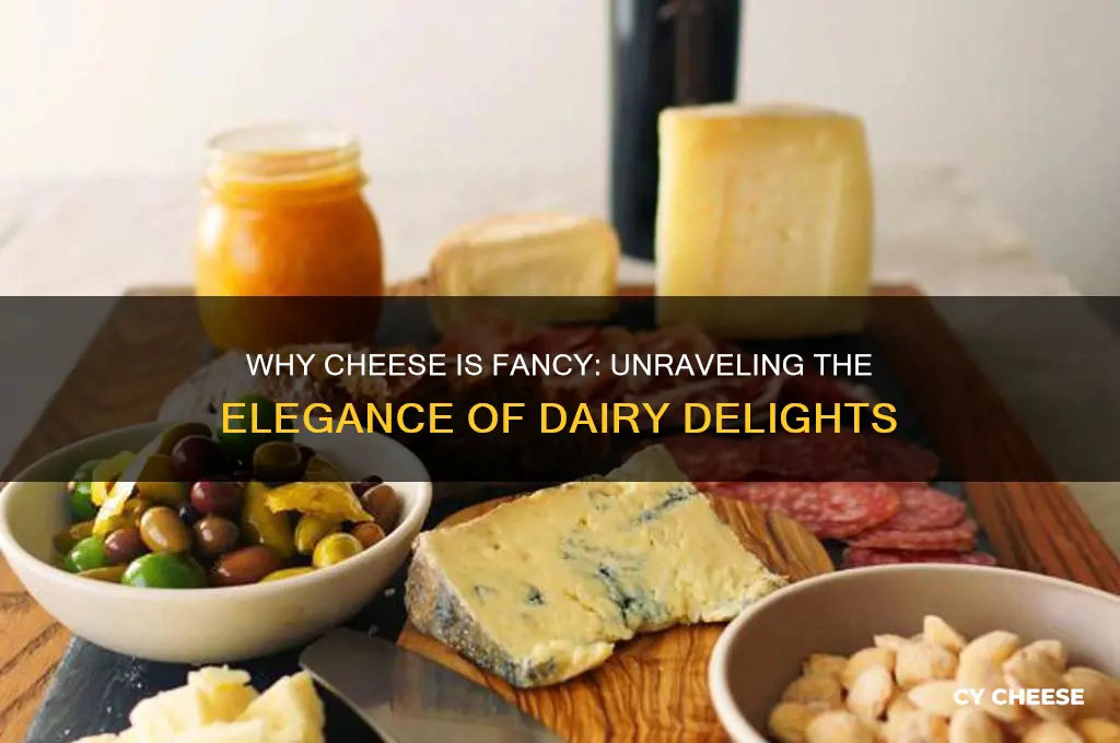 why is cheese fancy