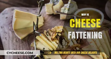 Is Cheese Fattening? Uncovering the Truth About Dairy and Weight Gain