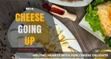 Why Cheese Prices Are Rising: Causes and Consumer Impact